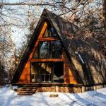 The Future of House Designs: Blending Innovation and Comfort
